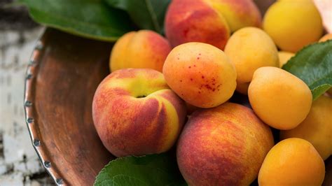 MOJO RISIN, Peaches, Sugar cane, Cacao nibs (QGrade 87)